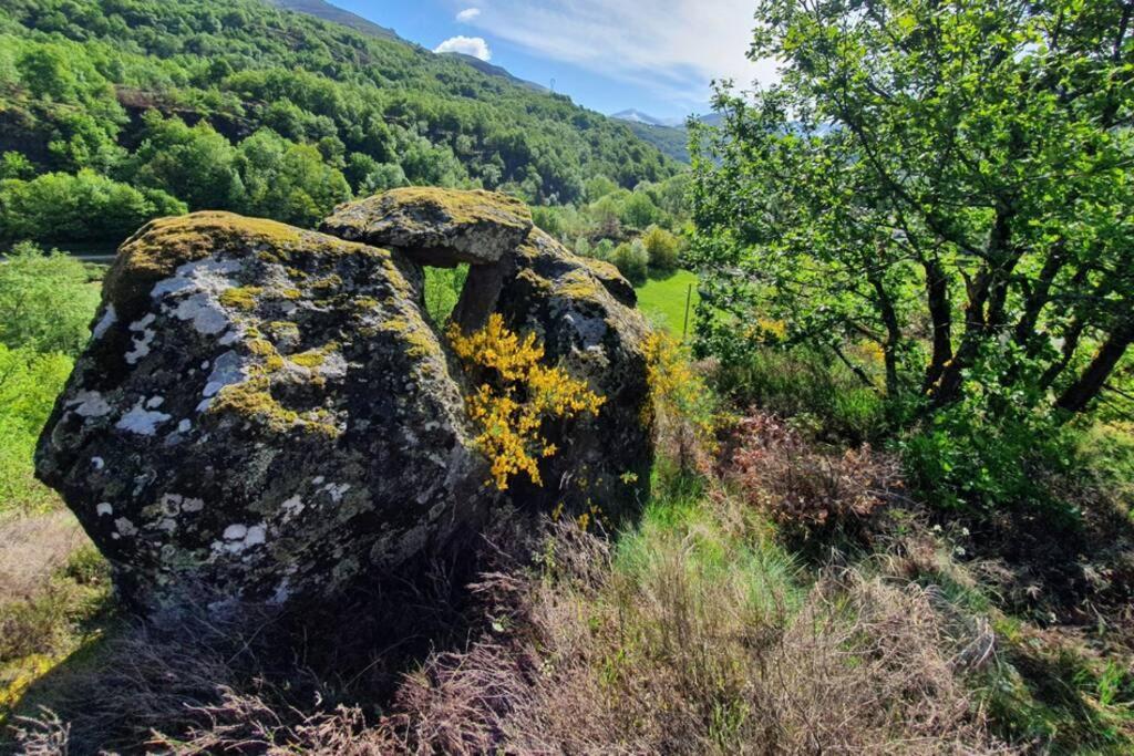 Maison Au Coeur Des Pyrenees Perles-et-Castelet Bagian luar foto
